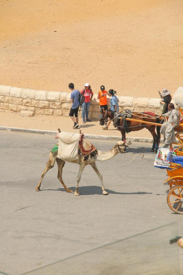 Pyramids Valley Boutique Hotel Kafret el-Gabal Esterno foto